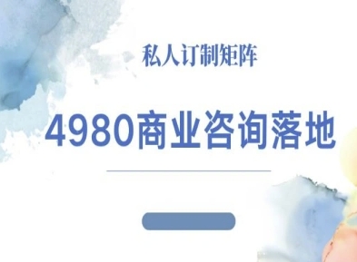 4980商业咨询师落地课程-ip运营高客单教程-狄威团队