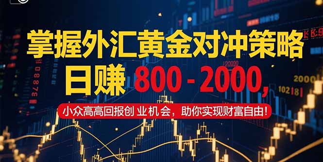 掌握外汇黄金对冲策略，日赚 800 - 2000，小众高回报创业机会，助你实...-狄威团队