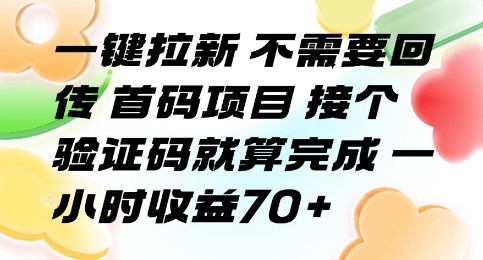 一键拉新 不需要回传 首码项目 接个验证码就算完成 一小时收益70+【揭秘】-狄威团队