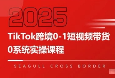 大亿老师·TikTok跨境0-1短视频带货-狄威团队
