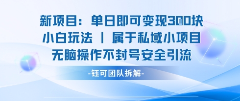 新项目单日即可变现3张的小白玩法无脑操作不封号安全引流-狄威团队