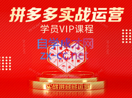 推易电商·拼多多实战运营课(更新2025月)-狄威团队