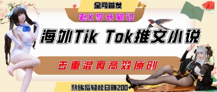 海外tiktok小说推文暴力项目，高停留率，高转化率，上手后一天搞顿饭钱不是问题-狄威团队