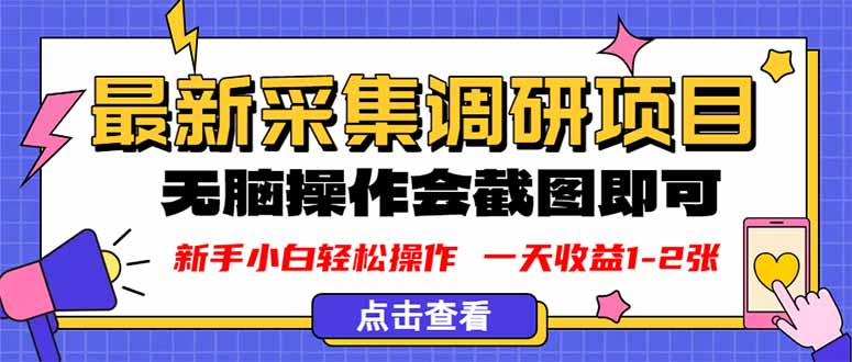 新版采集调研项目，截图上传即可，无脑操作，日收益1-2张-狄威团队