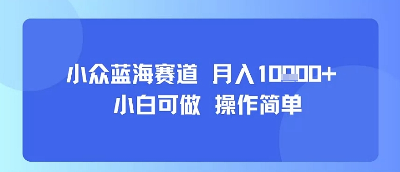 小众蓝海赛道，小白可做，操作简单，每天30分钟，月入1W+-狄威团队