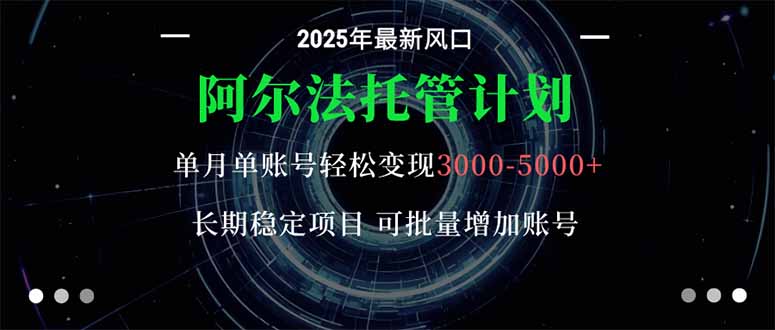 阿尔法托管计划 单账号月入3000-5000，长期稳定项目，新手小白轻松上手。-狄威团队