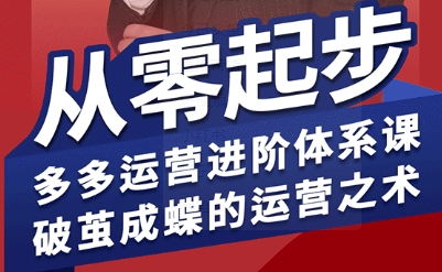 拼多多运营进阶系统课，从零起步，多多运营进阶体系课，破茧成蝶的运营之术-狄威团队