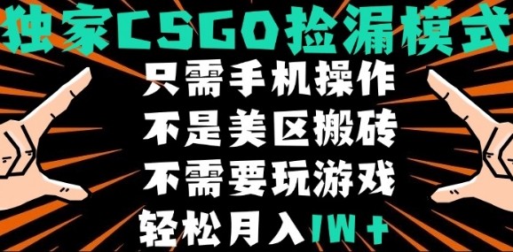 CSGO自动捡漏项目，最新独家玩法，不是美区搬砖，不需要了解和玩游戏，新手小白轻松月入1W+【揭秘】-狄威团队