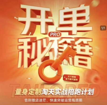 淘宝开单秘籍PRO，量身定制淘天实战陪跑计划，告别做店迷茫、快速突破运营瓶颈期(更新6月)-狄威团队