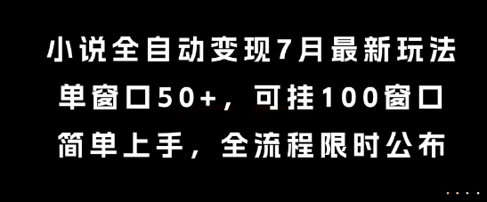 小说全自动变现7月玩法，单窗口50+，可挂100窗口，简单上手，全流程限时公布【揭秘】-狄威团队