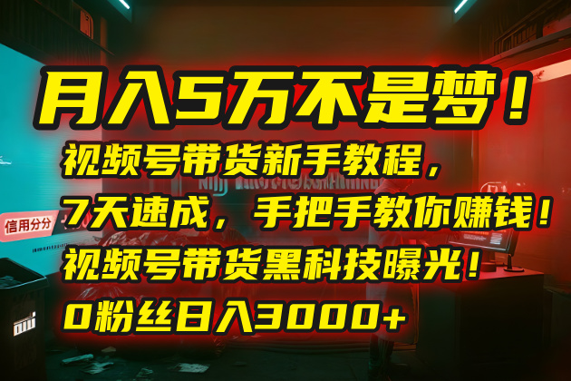 月入5万不是梦！视频号带货新手教程，7天速成，手把手教你赚钱！视频号...-狄威团队
