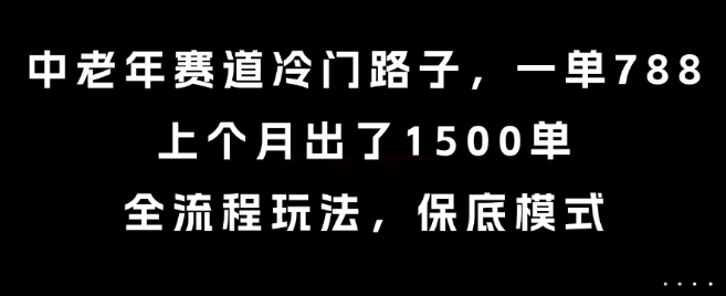 中老年赛道冷门路子，一单788，上个月出了1500单，全流程玩法，保底模式【揭秘】-狄威团队