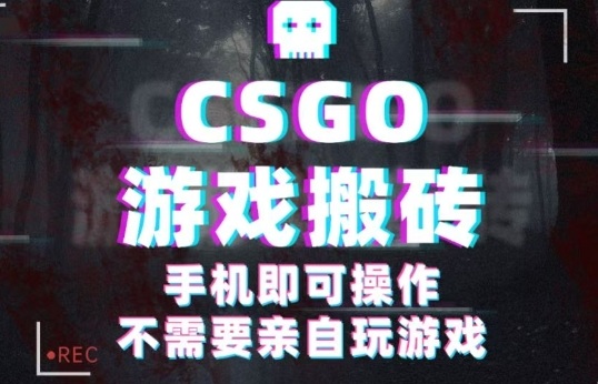 CSGO游戏挂G捡漏，单日扫货5张+，年底小高峰上车可吃肉，手机即可操作，兼职副业创业网创【揭秘】-狄威团队