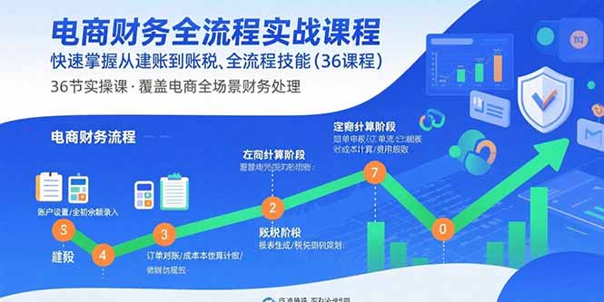 电商财务全流程实战课程：快速掌握从建账到报税的全流程技能(36节课-狄威团队