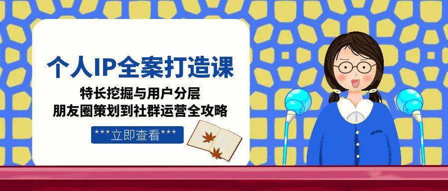 个人IP全案打造课，特长挖掘与用户分层，朋友圈策划到社群运营全攻略-狄威团队
