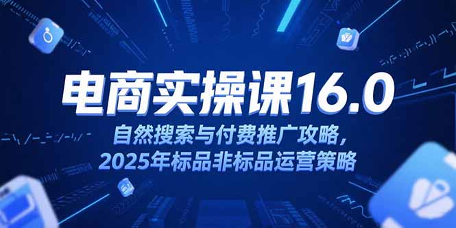 淘宝电商运营课16.0，自然搜索与付费推广攻略，2025年标品非标品运营策略-狄威团队