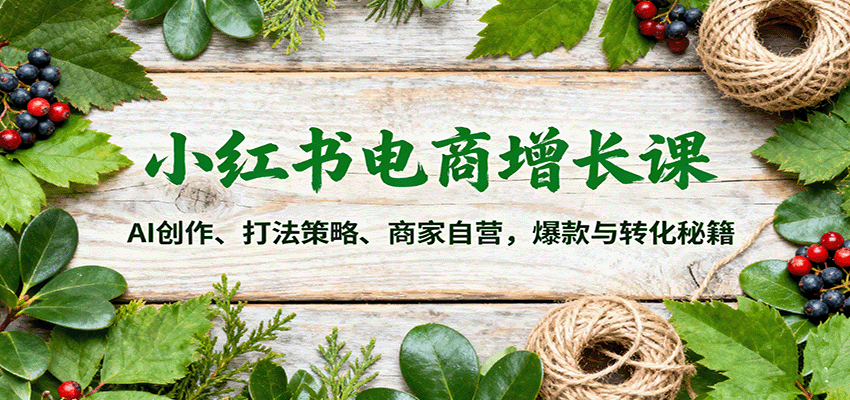 小红书电商增长课：AI创作、打法策略、商家自营，爆款与转化秘籍-狄威团队