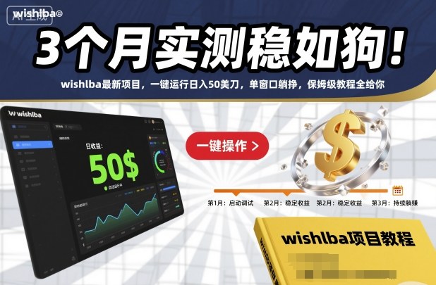 3个月实测稳如狗！wishlba最新项目，一键运行日入50美刀，单窗口躺挣，保姆级教程全给你【揭秘】-狄威团队