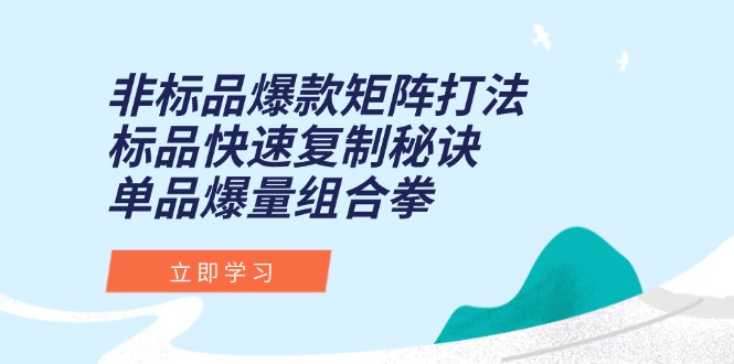 非标品爆款矩阵打法，标品快速复制秘诀，单品爆量组合拳-狄威团队