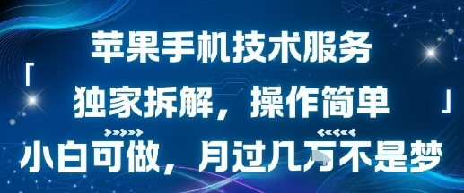 苹果手机技术服务，独家拆解，操作简单，小白可做，月过1W不是梦-狄威团队