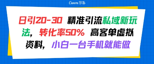 日引 20-30 精准引流私域新玩法，转化率50% 高客单虚拟资料，小白一台手机就能做-狄威团队