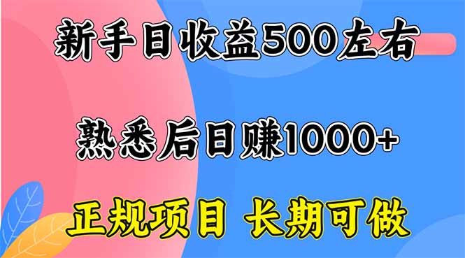 新手日收益500+ 正规项目 长期可做-狄威团队