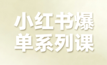 小红书爆单系列课，聚焦小红书电商全链路增长-狄威团队