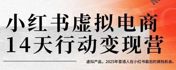 小红书虚拟电商14天变现训练营，虚拟产品，2025年普通人在小红书最后的搞钱机会(更新)-狄威团队
