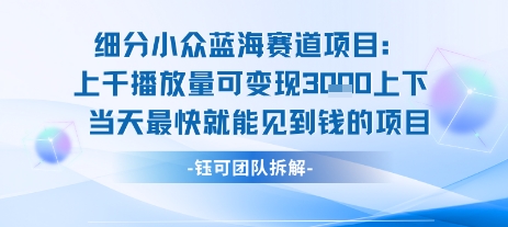 小众蓝海赛道项目：当天变现1k+适合新手操作 +适合长期玩-狄威团队