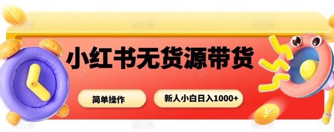 小红书无货源带货项目，简单无脑，新人小白日入多张-狄威团队