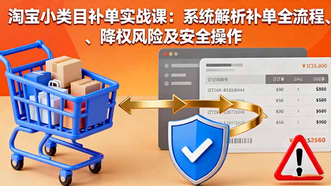 淘宝小类目补单实战课：系统解析补单全流程、降权风险及安全操作-狄威团队
