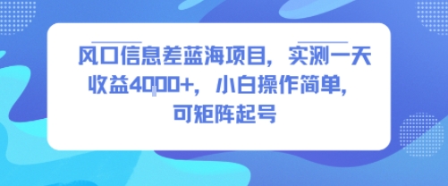 风口信息差蓝海项目，实测一天收益4k+，小白操作简单，可矩阵起号-狄威团队