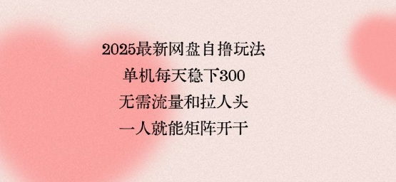 2025最新网盘自撸玩法，单机每天稳下3张，无需流量和拉人头，一个人就可轻松矩阵，全网独一份【揭秘】-狄威团队