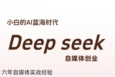 冰冰老师·普通人如何利用Deepseek创业-狄威团队
