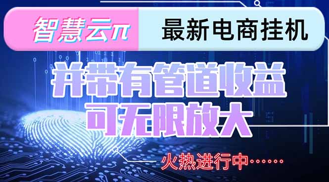 智慧云π电脑挂机单机每天收益300—500+ 并带有团队管道收益 可无限放大-狄威团队
