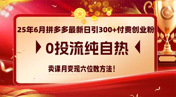25年6月拼多多最新日引300+付费创业粉，0投流纯自热 卖课月变现六位数方法-狄威团队