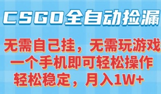 CSGO自动捡漏项目，最新独家玩法，一个手机可操作，新手小白轻松月入1W+，操作简单易上手【揭秘】-狄威团队
